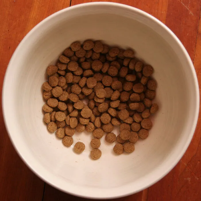 30 Incredibly Rude Or Weird Guests Who Made People Regret Ever Inviting Them To Their Homes