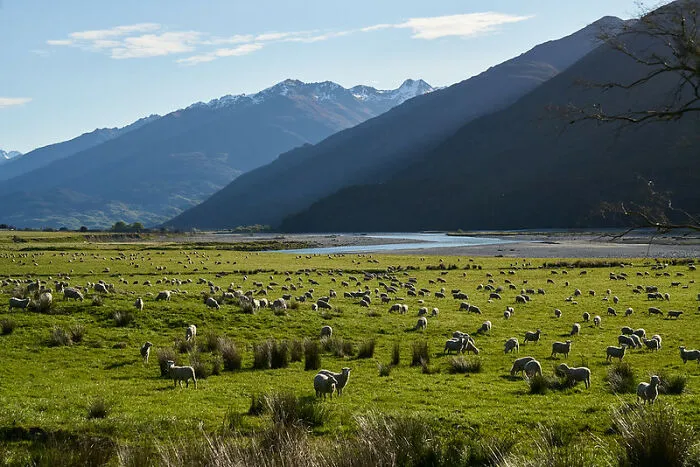 New Zealand