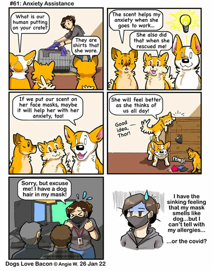 21 Comics I Made To Illustrate The Funny Reality Of Being A Dog Owner (New Pics)