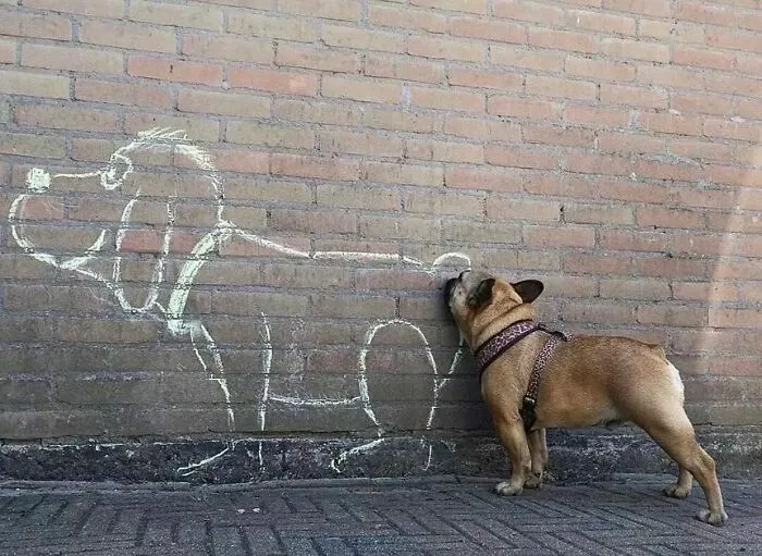 Esta cuenta de Instagram presenta divertidas fotografías urbanas y tiene más de 500 mil seguidores (30 nuevas fotos)