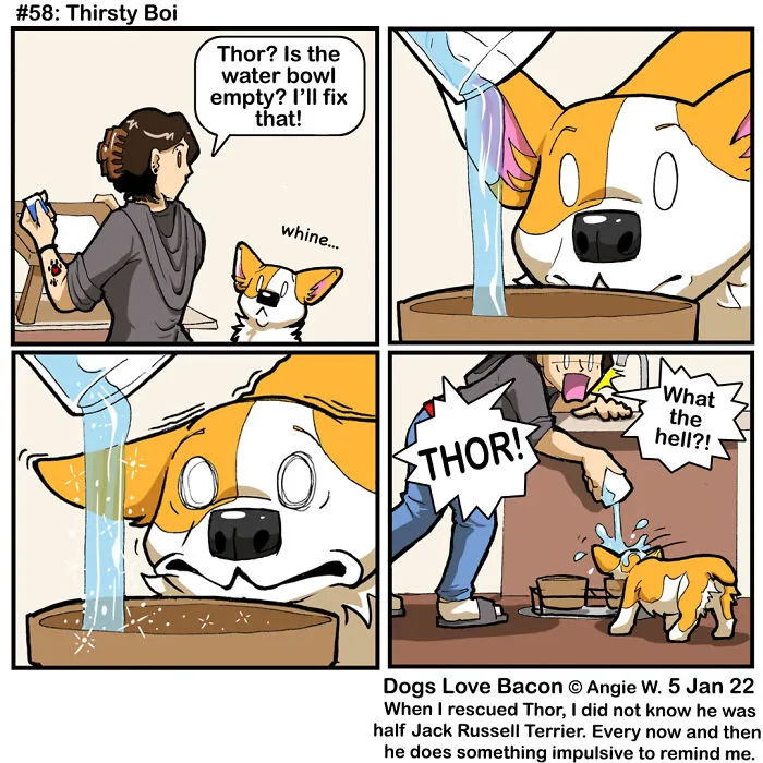 21 Comics I Made To Illustrate The Funny Reality Of Being A Dog Owner (New Pics)