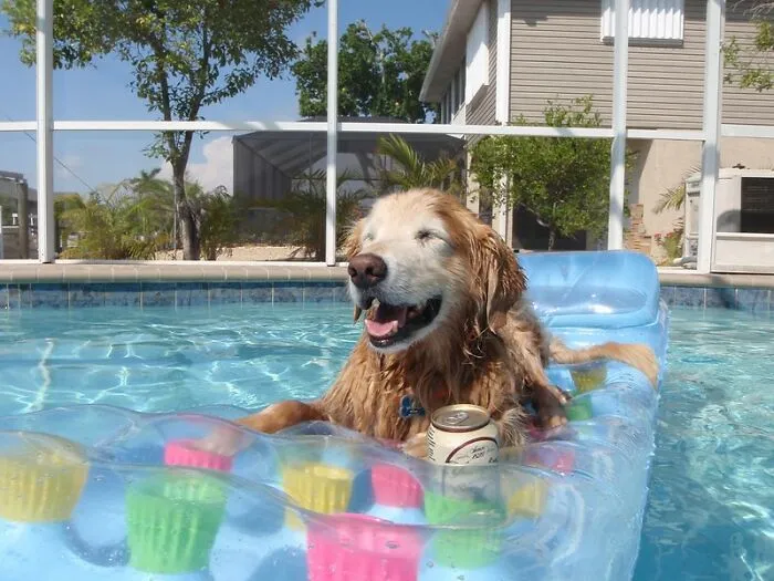 Una piscina para el patio