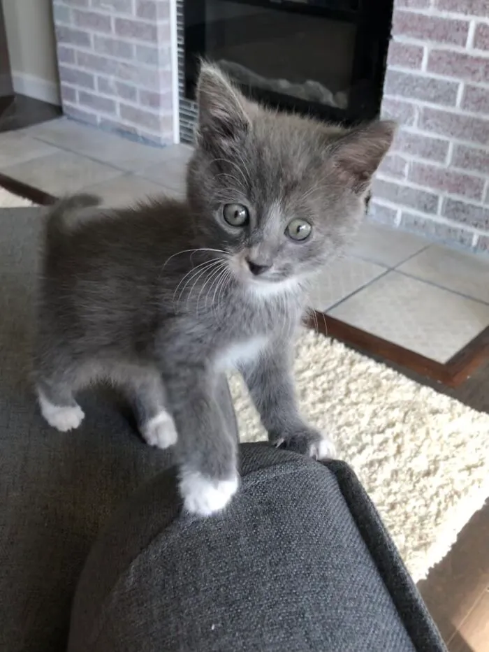 Had Almost A Week And Still No Name…it’s A Boy!