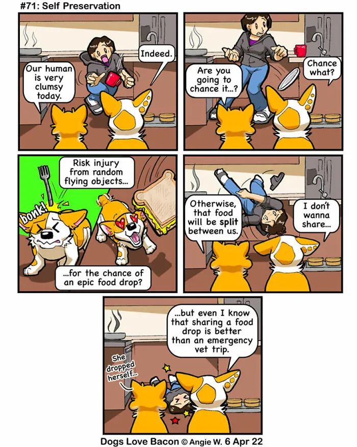 21 Comics I Made To Illustrate The Funny Reality Of Being A Dog Owner (New Pics)