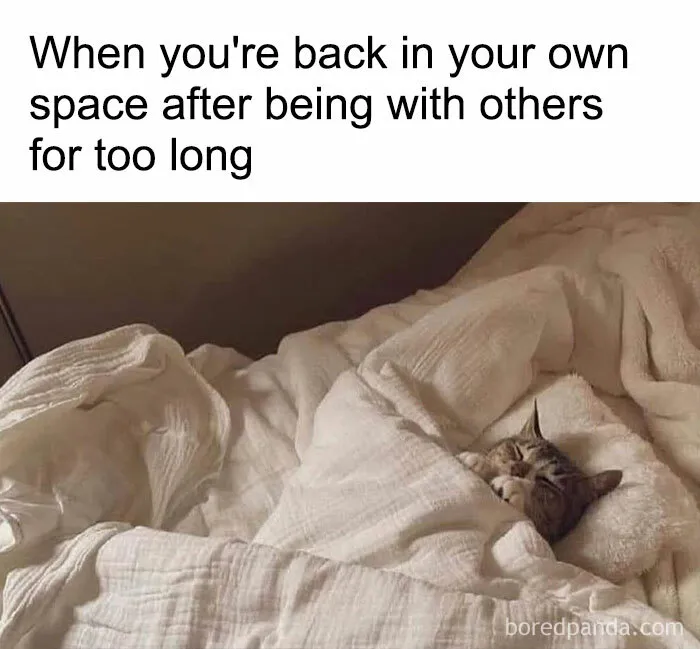 40 Funny ‘Antisocial Memes’ Introverts Might Relate To