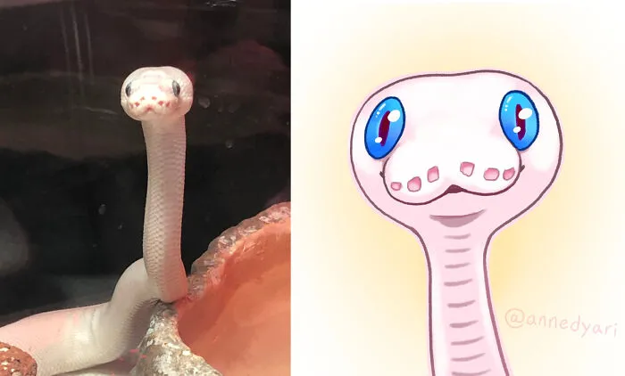 I Sketched Out My Snake's Derpy Stare, Hope You Like It!