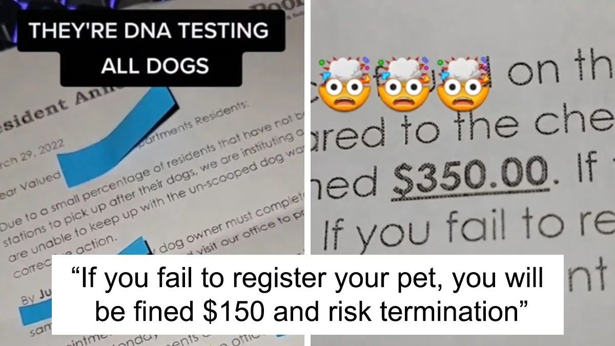 "You Gotta Hear This": Landlords Demand Tenants Bring Their Dogs For DNA Testing To Find Out Who Doesn't Pick Up The Poop