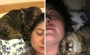 “This Is My Life Now”: 50 Funny Pics Of People And Animals Accepting Uncommon Situations