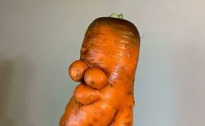 50 Times People Experienced A Serious Case Of Pareidolia In The Most Unusual Spots (New Pics)