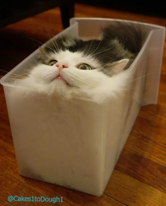 Liquid 4 Life