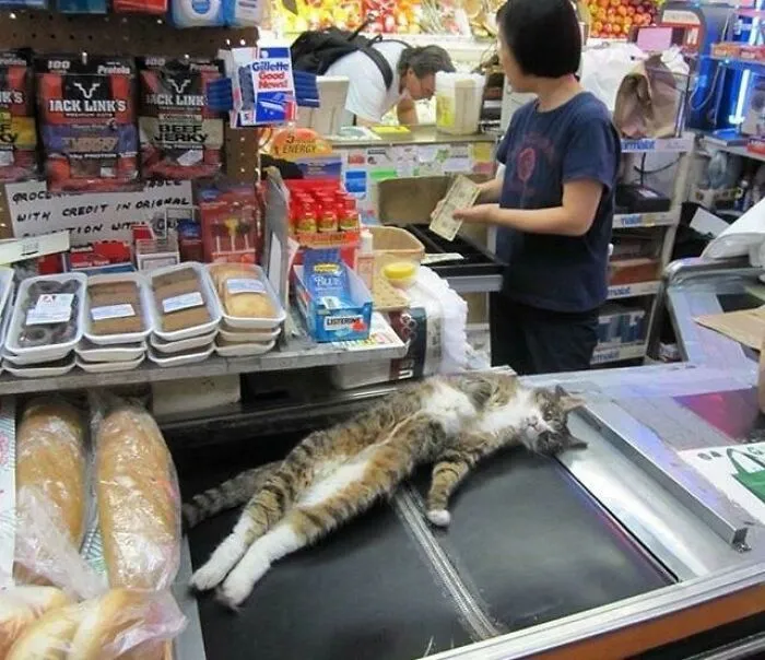 “I Need A Price Check!”