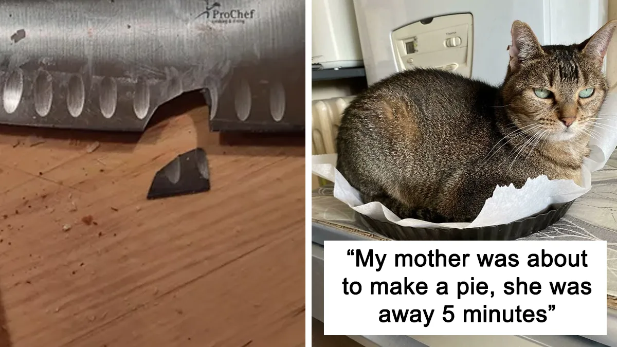 40 Of The Funniest Cooking Accidents (New Pics)