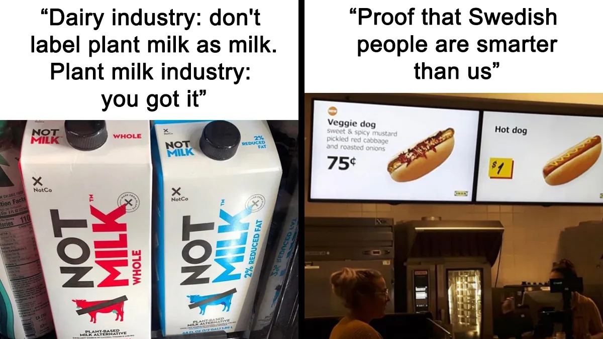 Over 350k People Follow This Instagram Account Dedicated To “Vegan Sarcasm” And Here Are 30 Of The Funniest Memes Posted There