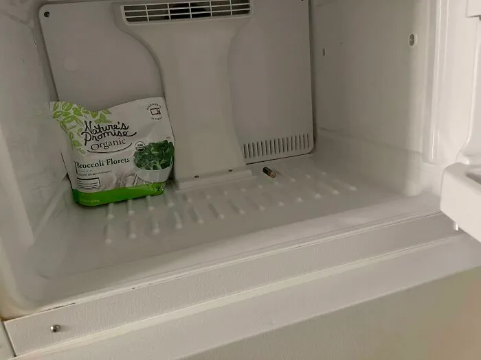 I Was Babysitting My Cousin While Her Dad Was Away On Business. He Told Me Dinner Is In The Freezer. Yum, Battery And Broccoli. Just Like Mom Used To Make
