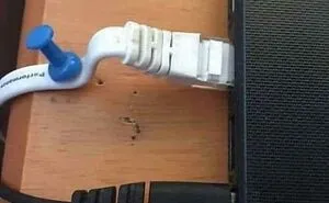 Tech Support People Are Sharing The Worst Cases They’ve Seen While On The Job (45 New Pics)