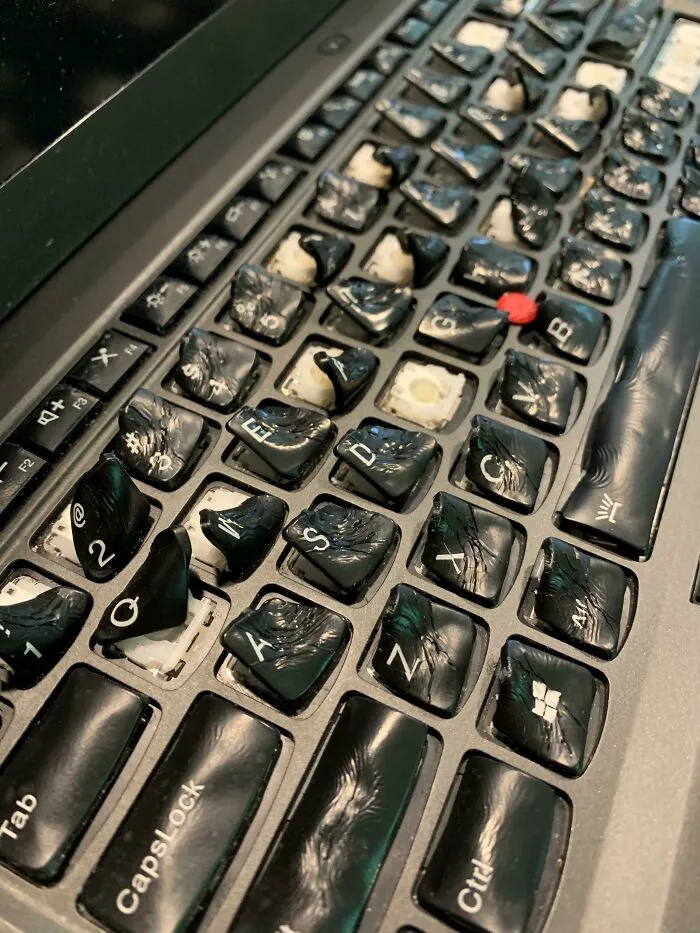 User Spilt Coffee On His Laptop - So He Put It In The Oven To Dry It Out...