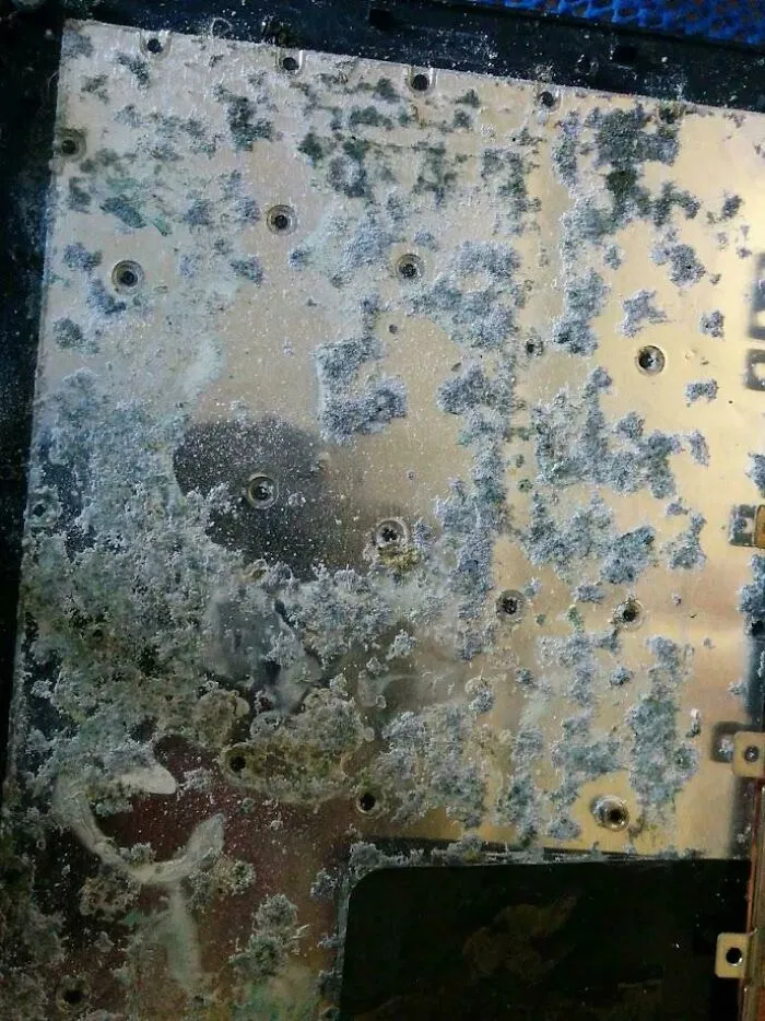 Laptop Keyboard Is Not Working. Well There's Your Problem, Your Keyboard Is Creating New Antibiotics
