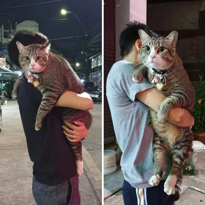 The Absolute Size Of This Guy