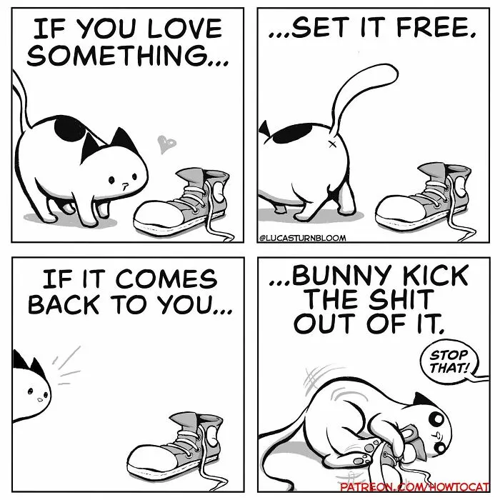 Daily Struggles And Life With A Cat: 30 Funny Comics By “How To Cat” (New Pics)