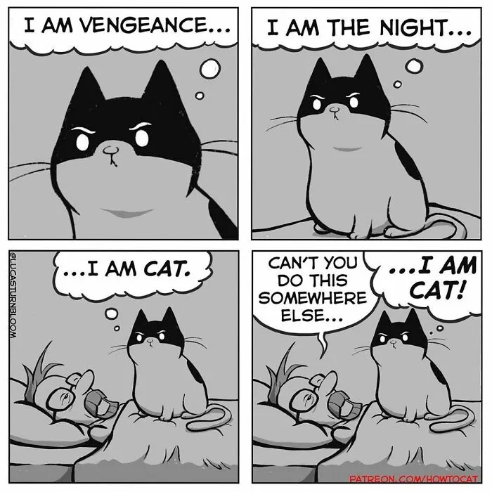Daily Struggles And Life With A Cat: 30 Funny Comics By “How To Cat” (New Pics)