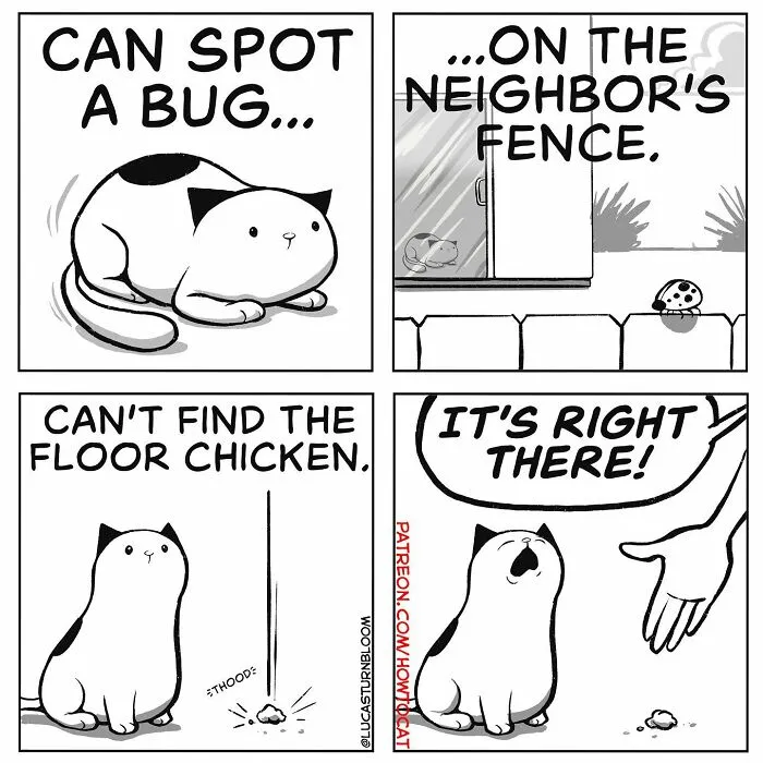 Daily Struggles And Life With A Cat: 30 Funny Comics By “How To Cat” (New Pics)