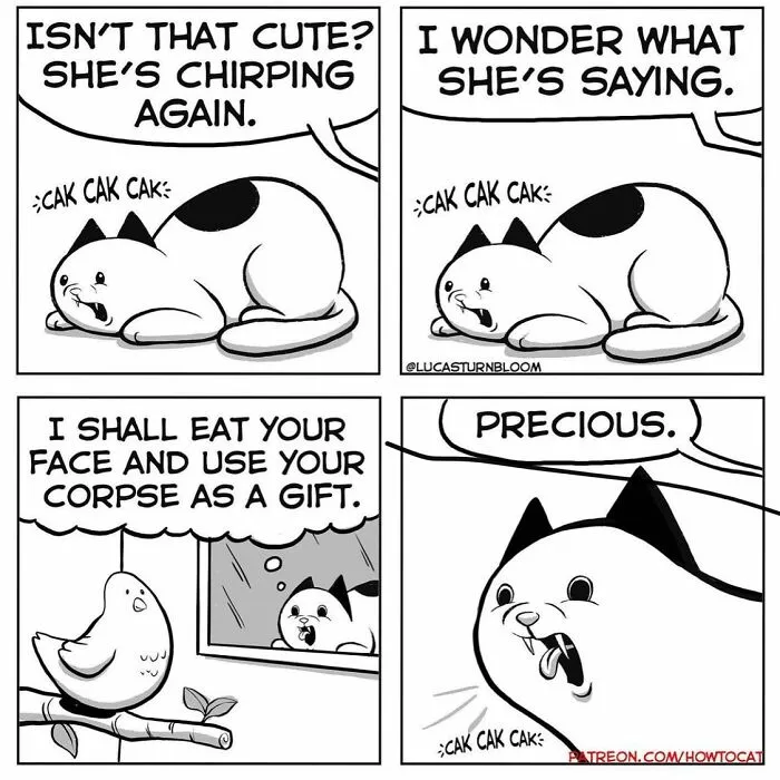 Daily Struggles And Life With A Cat: 30 Funny Comics By “How To Cat” (New Pics)