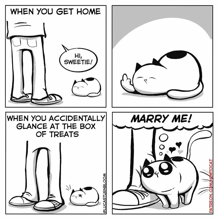 Daily Struggles And Life With A Cat: 30 Funny Comics By “How To Cat” (New Pics)