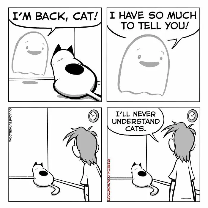 Daily Struggles And Life With A Cat: 30 Funny Comics By “How To Cat” (New Pics)