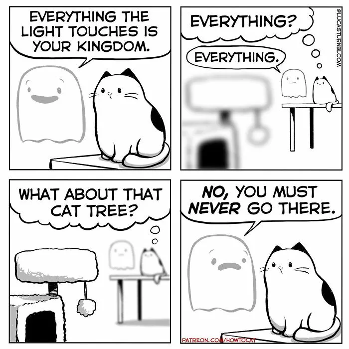 Daily Struggles And Life With A Cat: 30 Funny Comics By “How To Cat” (New Pics)