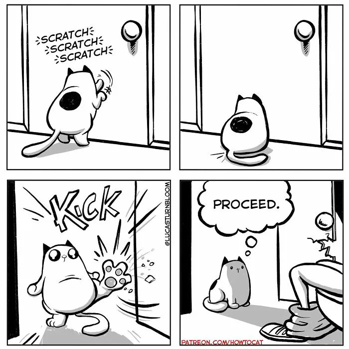 Daily Struggles And Life With A Cat: 30 Funny Comics By “How To Cat” (New Pics)