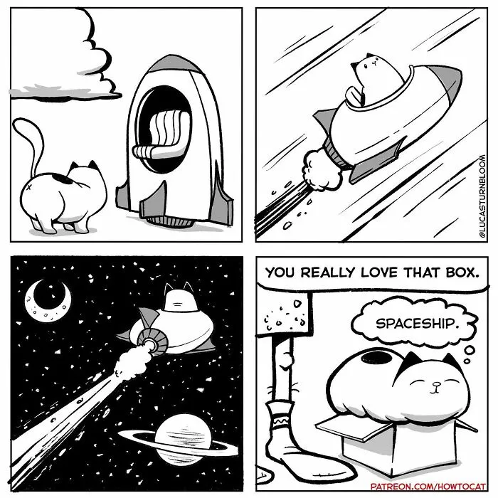 Daily Struggles And Life With A Cat: 30 Funny Comics By “How To Cat” (New Pics)
