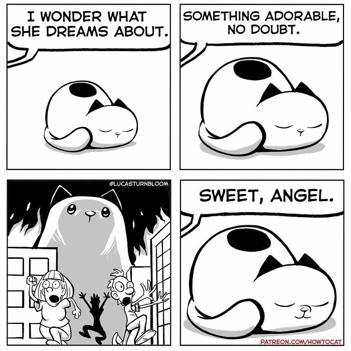 Daily Struggles And Life With A Cat: 30 Funny Comics By “How To Cat” (New Pics)