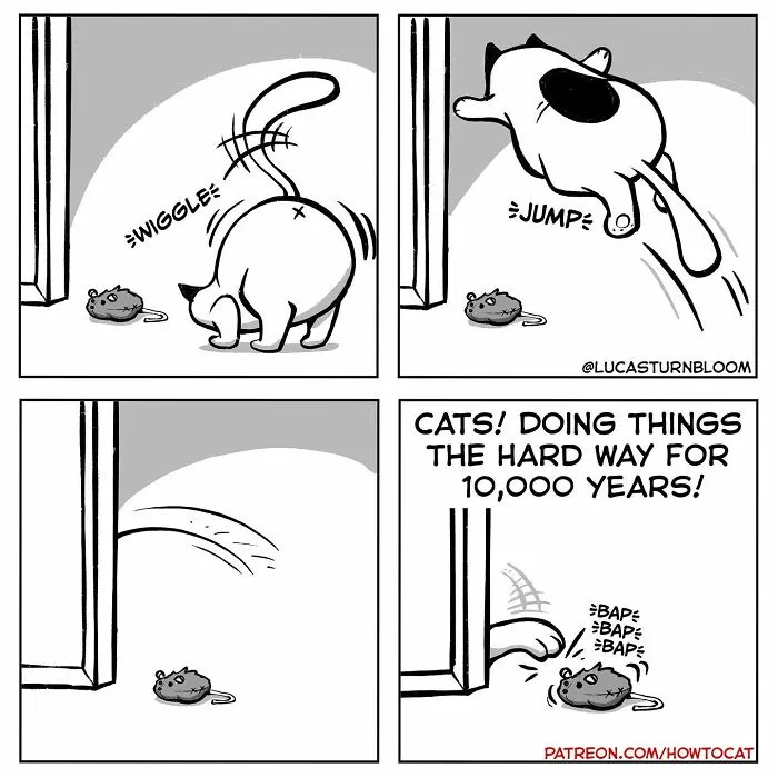 Daily Struggles And Life With A Cat: 30 Funny Comics By “How To Cat” (New Pics)