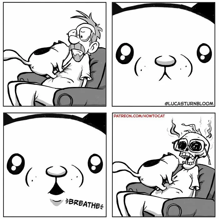 Daily Struggles And Life With A Cat: 30 Funny Comics By “How To Cat” (New Pics)