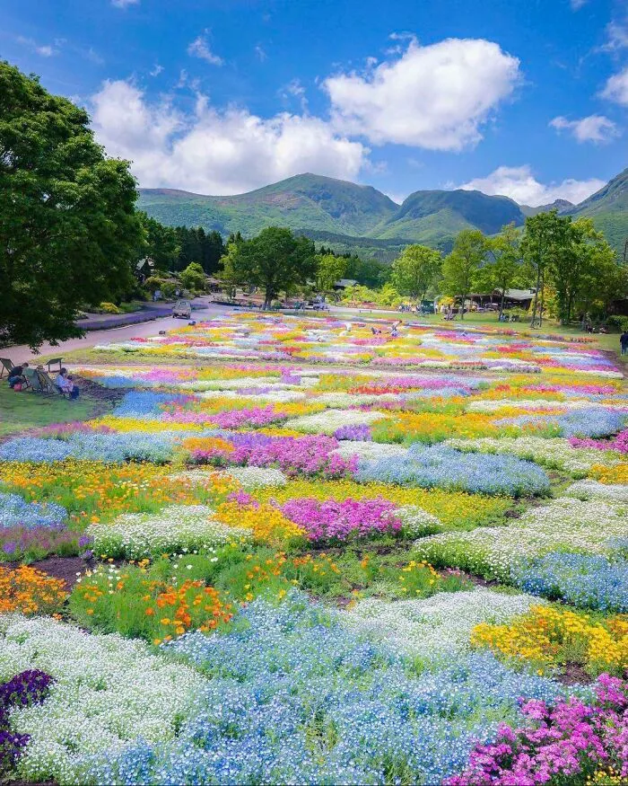 Forget Grass