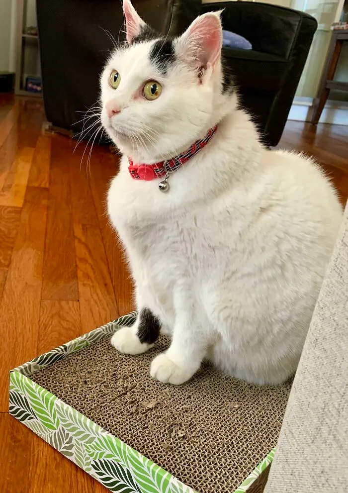 Nothing But Elevator Music Behind Those Eyes