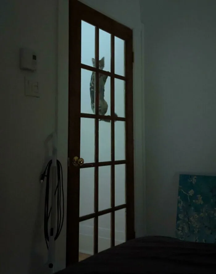 This Morning I Woke Up To This. I'm Scared
