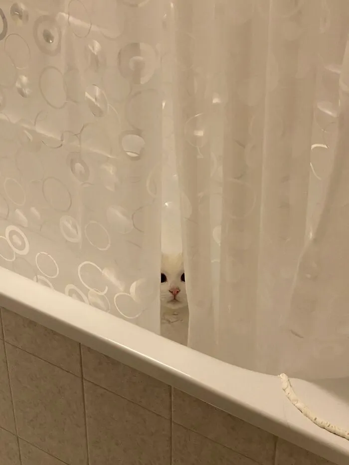 She’s Always Watching You