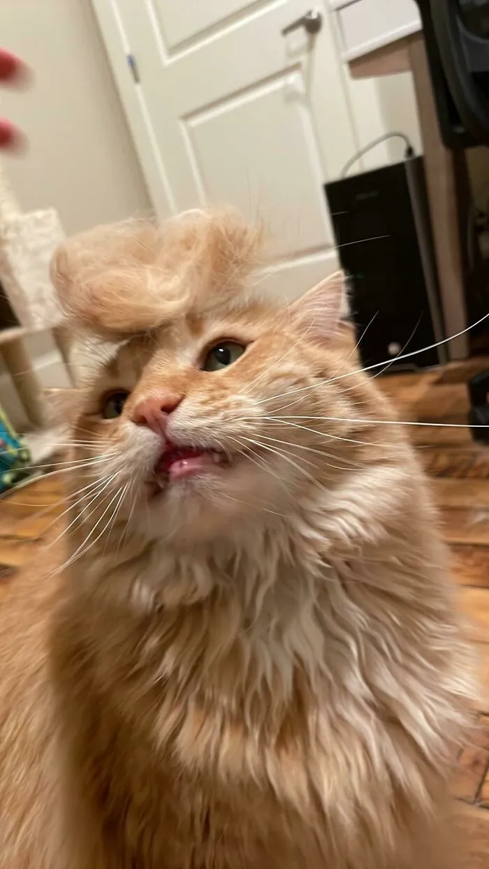 The Shedding Season Has Begun