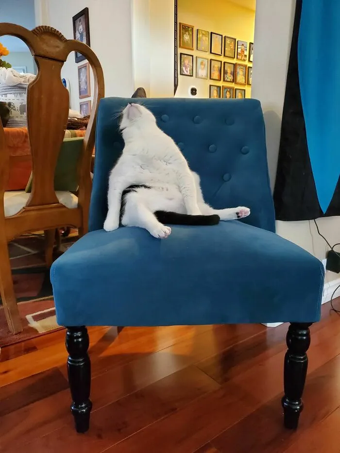 This Majestic Beast...
