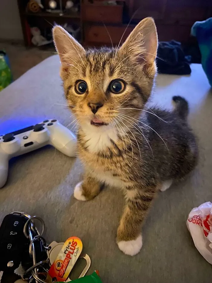 When He Gives You This Look