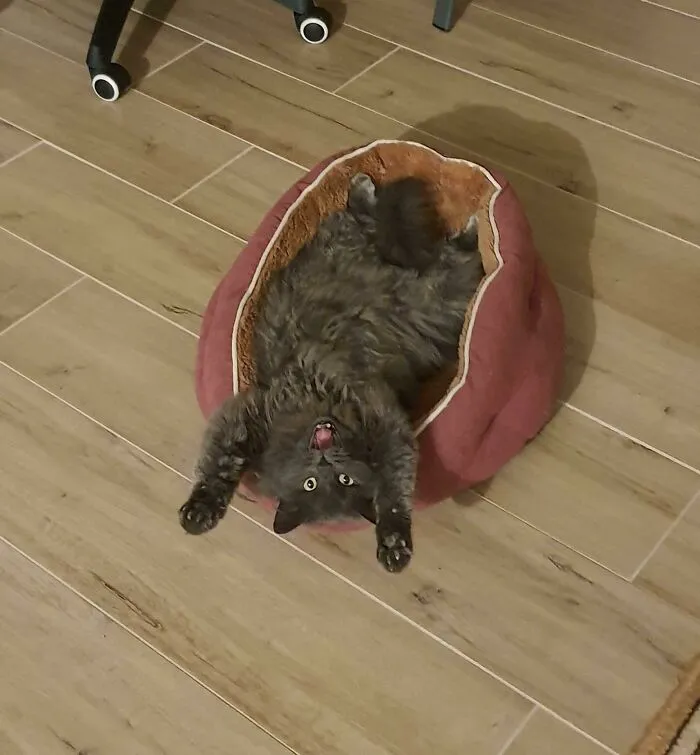 Qué paaaassssaaaaa