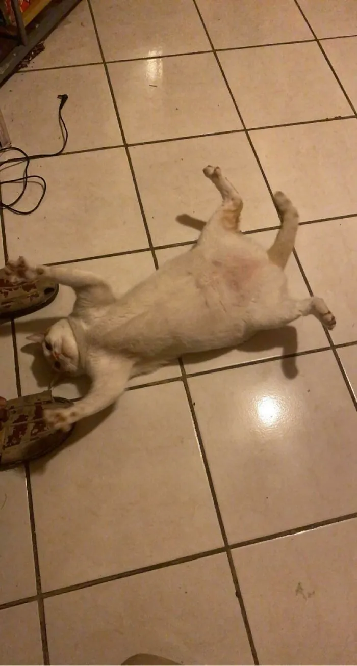 She Fell On The Floor And Randomly Did This