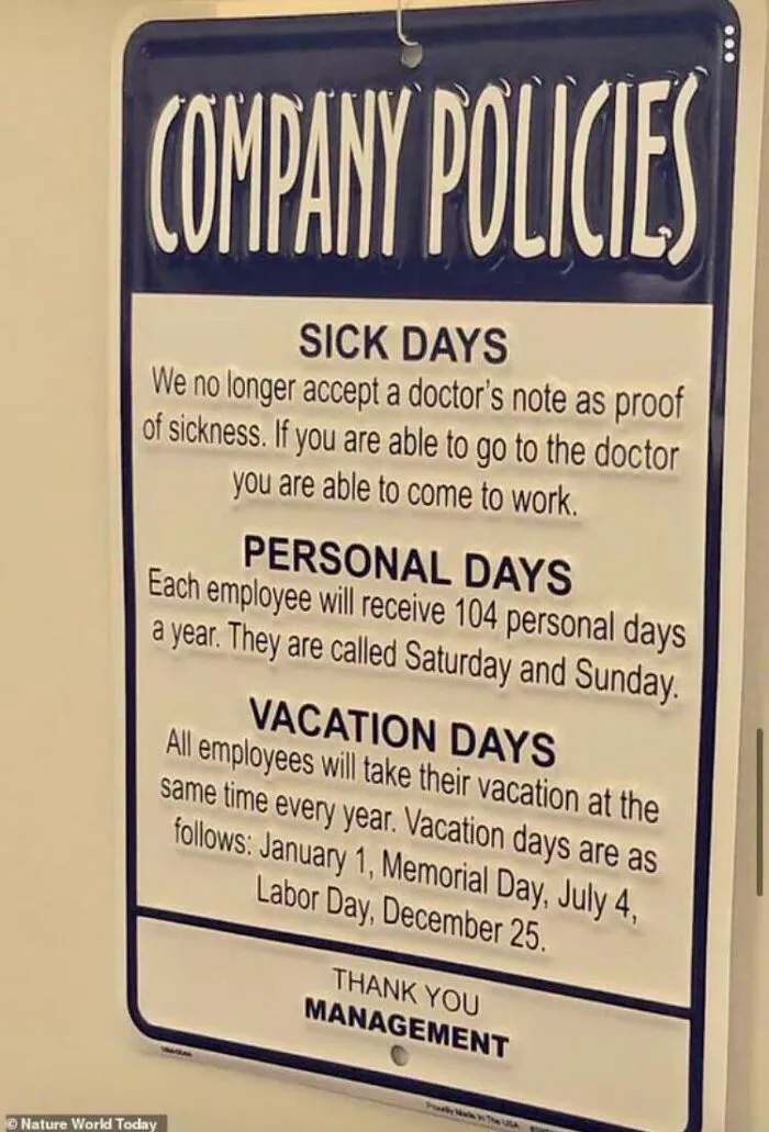 Capitalist America For You