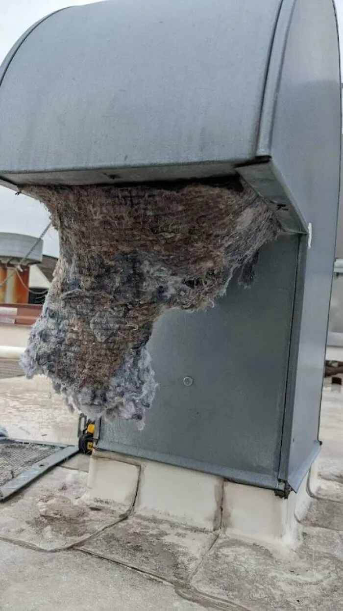 Clogged Dryer Vent, Only Removed Cover, Didn't Pull Any Lint Out Yet