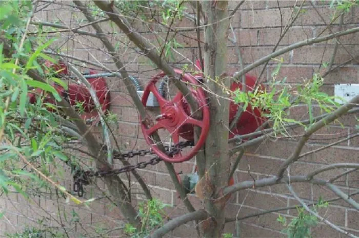 Tell The Firefighters To Bring Their Chainsaw