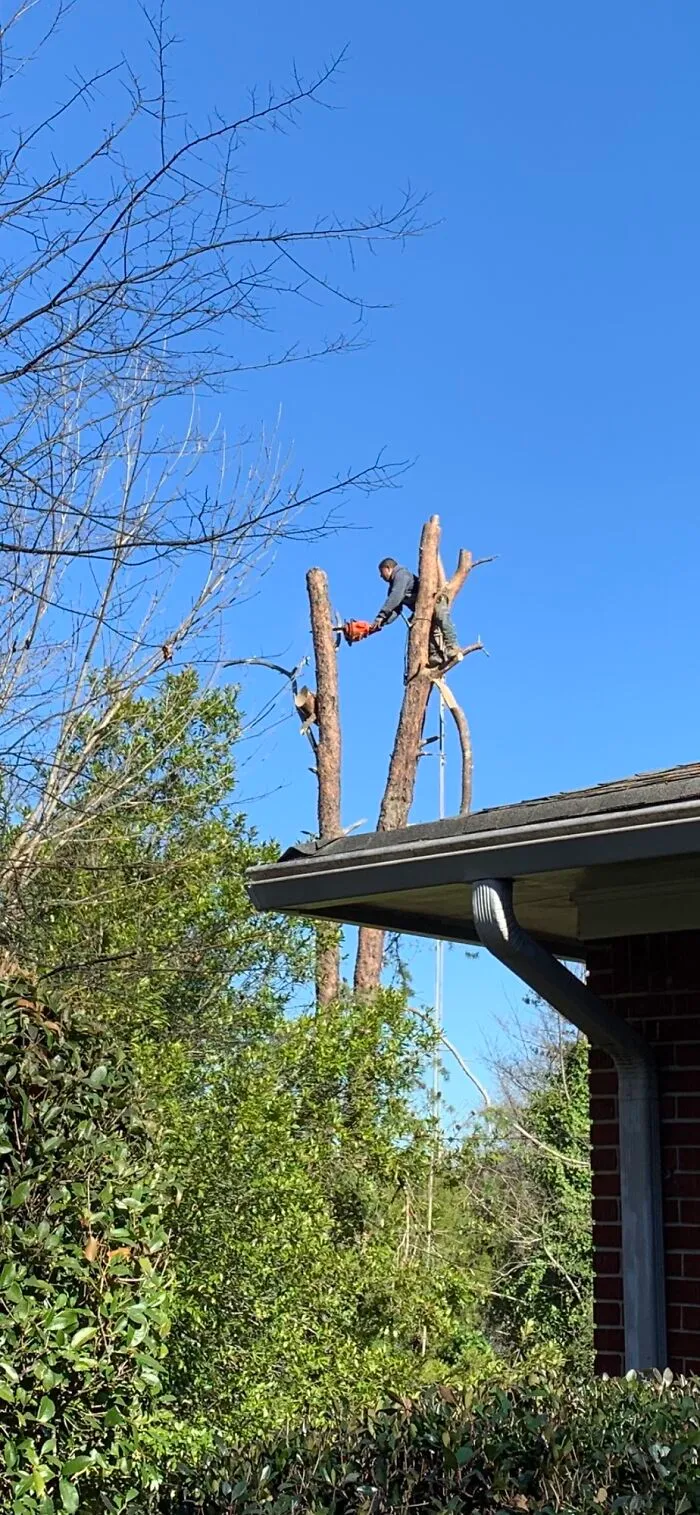 Check Insurance Before Hiring Contractor