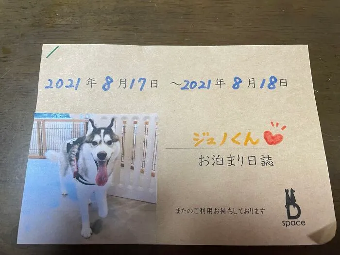 Este hotel para mascotas hace un diario de la estancia para dártelo cuando recojas a tu mascota