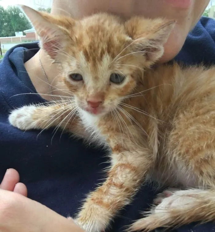 I Rescued Fred From The Middle Of A Rainy Highway. Thank You Universe For Letting Me Be In That Exact Place And Time !