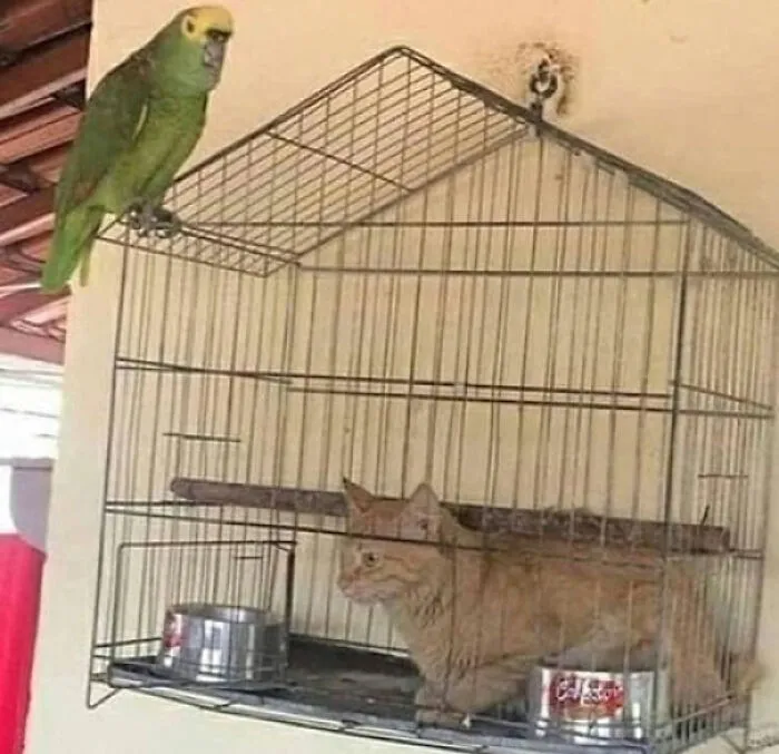Hmmm